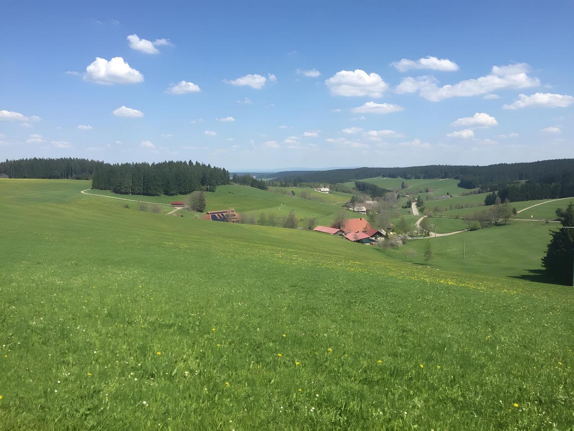 Blackforest Ferienwohnung Sankt Georgen im Schwarzwald Exteriér fotografie